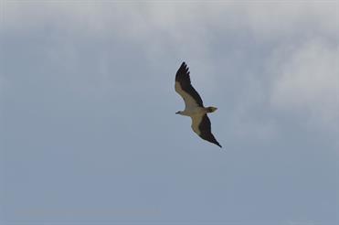 01 Mobor-Beach_and_Cavelossim-Beach,_Goa_DSC6465_b_H600